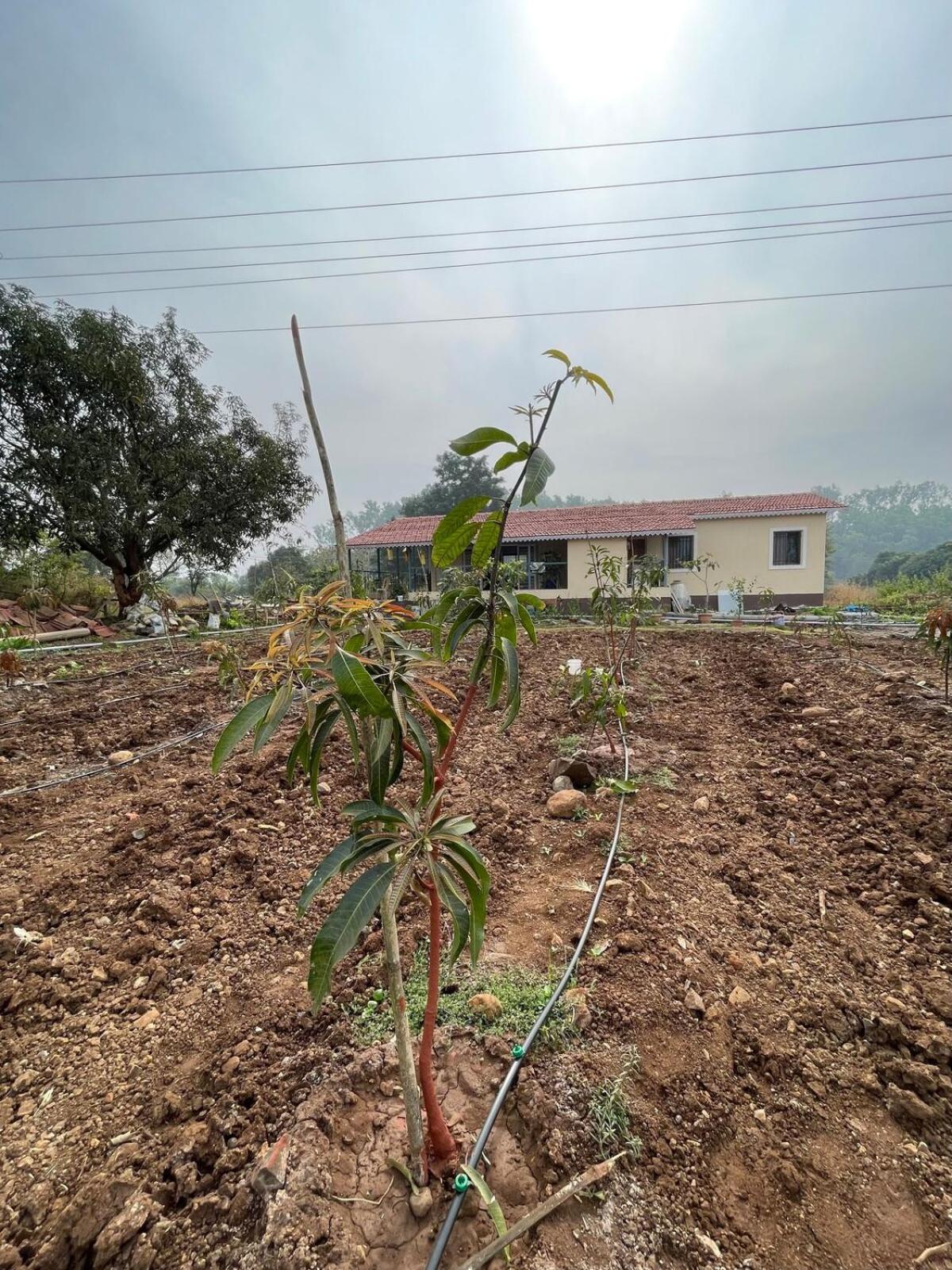 Aj Farms Villa Welhe Luaran gambar